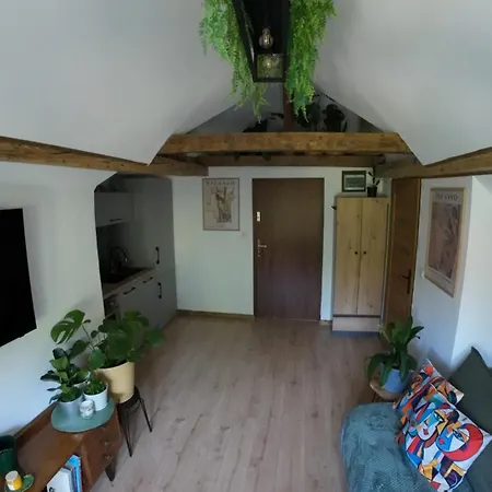 Z Widokiem Na Park Srebrna Góra