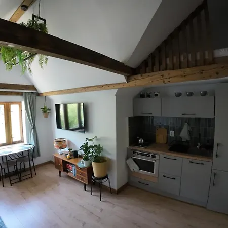 Z Widokiem Na Park * Srebrna Góra