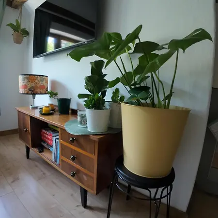 Appartamento Z Widokiem Na Park *