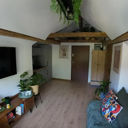 Z Widokiem Na Park * Srebrna Góra