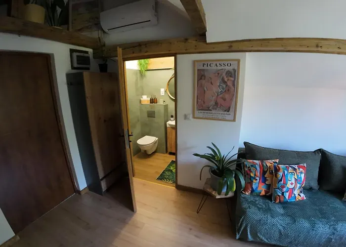 Z Widokiem Na Park Srebrna Góra