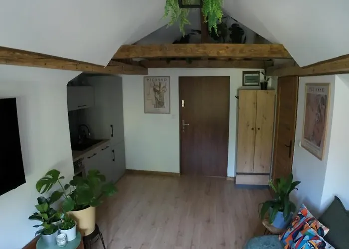 Z Widokiem Na Park Srebrna Góra