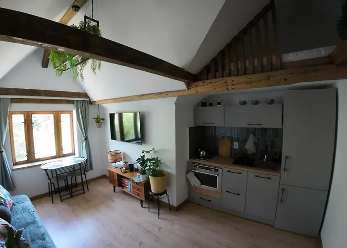 Z Widokiem Na Park * Srebrna Góra