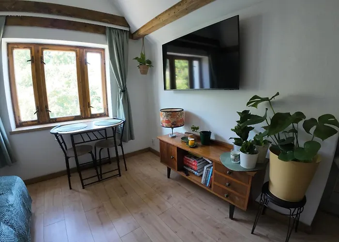 Z Widokiem Na Park *