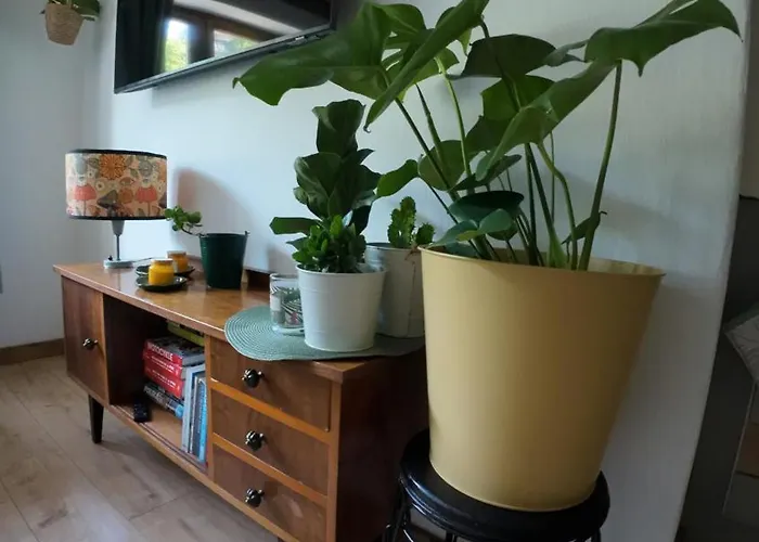 Apartment Z Widokiem Na Park *