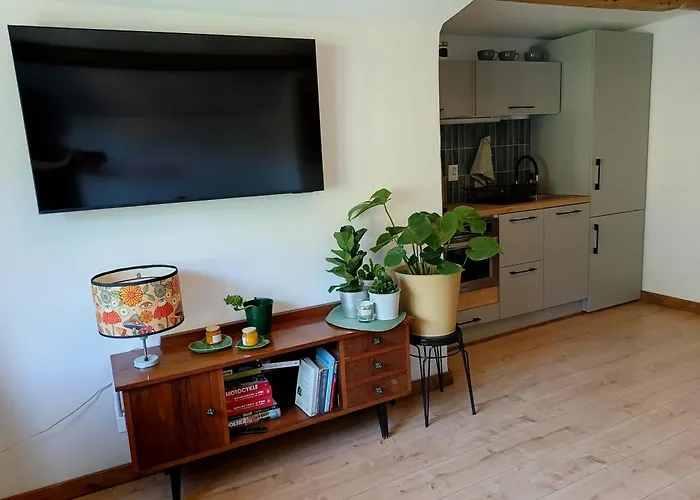 Apartment Z Widokiem Na Park *