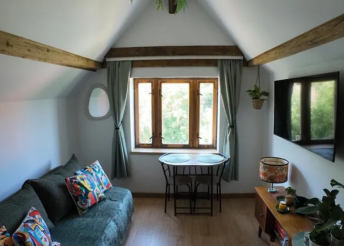 Z Widokiem Na Park * Srebrna Góra