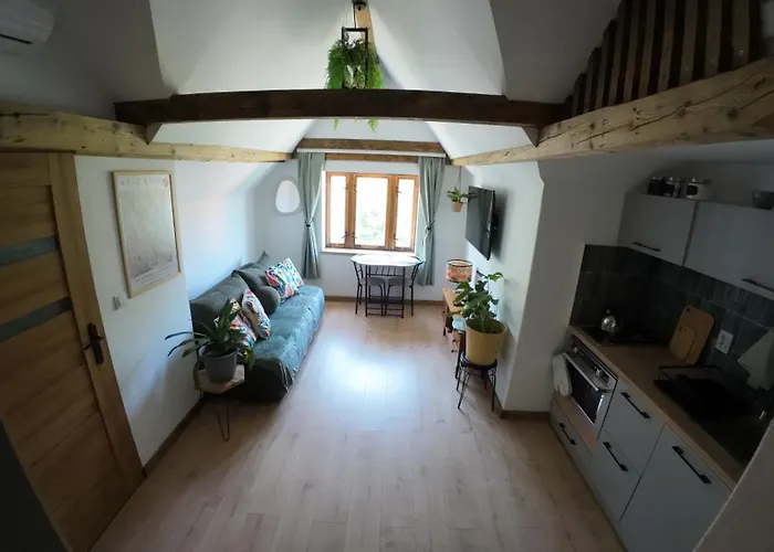 Z Widokiem Na Park Srebrna Góra