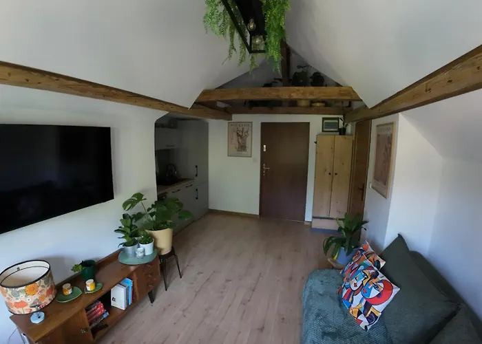 Z Widokiem Na Park * Srebrna Góra